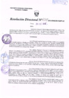 Vista preliminar de documento R.D. Nº 337.pdf