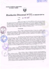 Vista preliminar de documento R.D. Nº 345.pdf