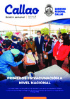 Vista preliminar de documento Boletín N° 17 - 2021
