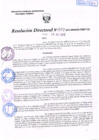 Vista preliminar de documento R.D. Nº 354.pdf