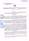 Vista preliminar de documento R.D. Nº 357.pdf