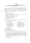 Vista preliminar de documento Actas
