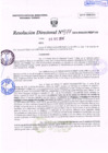 Vista preliminar de documento R.D. Nº 377.pdf