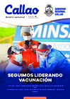 Vista preliminar de documento Boletín N° 36 - 2021