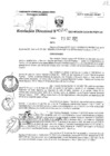 Vista preliminar de documento RD271-MIDAGRI-DVDIAR-PEBPT-DE.pdf