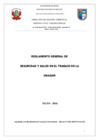 Vista preliminar de documento REGLAMENTO DE SEGURIDAD UNASAM-Res. 444-2016.pdf