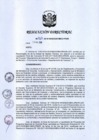 Vista preliminar de documento RD 263-2018