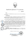 Vista preliminar de documento Resolución Jefatural N° 013-2019-BNP