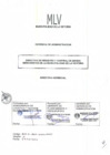 Vista preliminar de documento di_001-2011-GA-MLV
