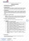 Vista preliminar de documento Servicio de desarrollo de software