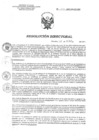 Vista preliminar de documento RD 196-2021-SA-DG-INR.pdf