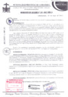 Vista preliminar de documento resolucion de alcaldia