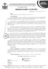 Vista preliminar de documento resolucion de alcaldia