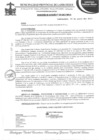 Vista preliminar de documento resolucion de alcaldia
