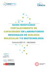 Vista preliminar de documento BASES