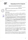 Vista preliminar de documento R.A-N°294-2019-MDCE/A