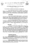 Vista preliminar de documento ordenanza municipal