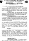 Vista preliminar de documento ordenanza municipal