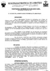 Vista preliminar de documento ordenanza municipal