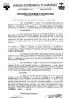 Vista preliminar de documento ordenanza municipal