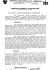 Vista preliminar de documento ordenanza municipal