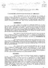 Vista preliminar de documento ordenanza municipal
