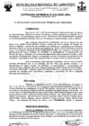 Vista preliminar de documento ordenanza municipal