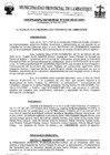 Vista preliminar de documento ordenanza municipal