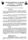 Vista preliminar de documento ordenanza municipal