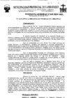 Vista preliminar de documento ordenanza municipal