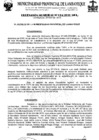 Vista preliminar de documento ordenanza municipal