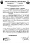 Vista preliminar de documento ordenanza municipal