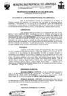 Vista preliminar de documento ordenanza municipal