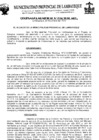 Vista preliminar de documento ordenanza municipal