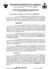 Vista preliminar de documento ordenanza municipal