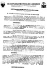 Vista preliminar de documento ordenanza municipal