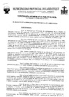 Vista preliminar de documento ordenanza municipal