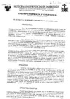 Vista preliminar de documento ordenanza municipal
