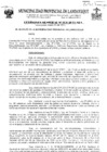Vista preliminar de documento ordenanza municipal