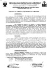 Vista preliminar de documento ordenanza municipal