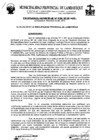 Vista preliminar de documento ordenanza municipal