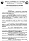 Vista preliminar de documento ordenanza municipal