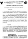 Vista preliminar de documento ordenanza municipal