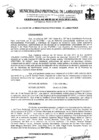 Vista preliminar de documento ordenanza municipal