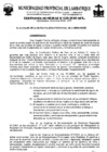 Vista preliminar de documento ordenanza municipal