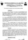 Vista preliminar de documento ordenanza municipal