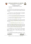 Vista preliminar de documento ordenanza municipal
