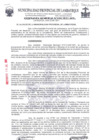Vista preliminar de documento ordenanza municipal