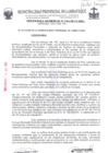 Vista preliminar de documento ordenanza municipal