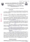 Vista preliminar de documento ordenanza municipal